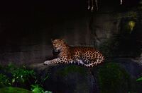 img1.jpg
